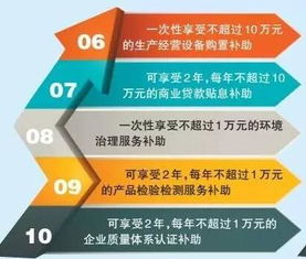 重慶力推“雙輪驅動”發展戰略 新增8項紙箱業微企扶持項目，加速軟件產業布局