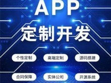 重慶應用軟件開發 機遇、優勢與未來展望